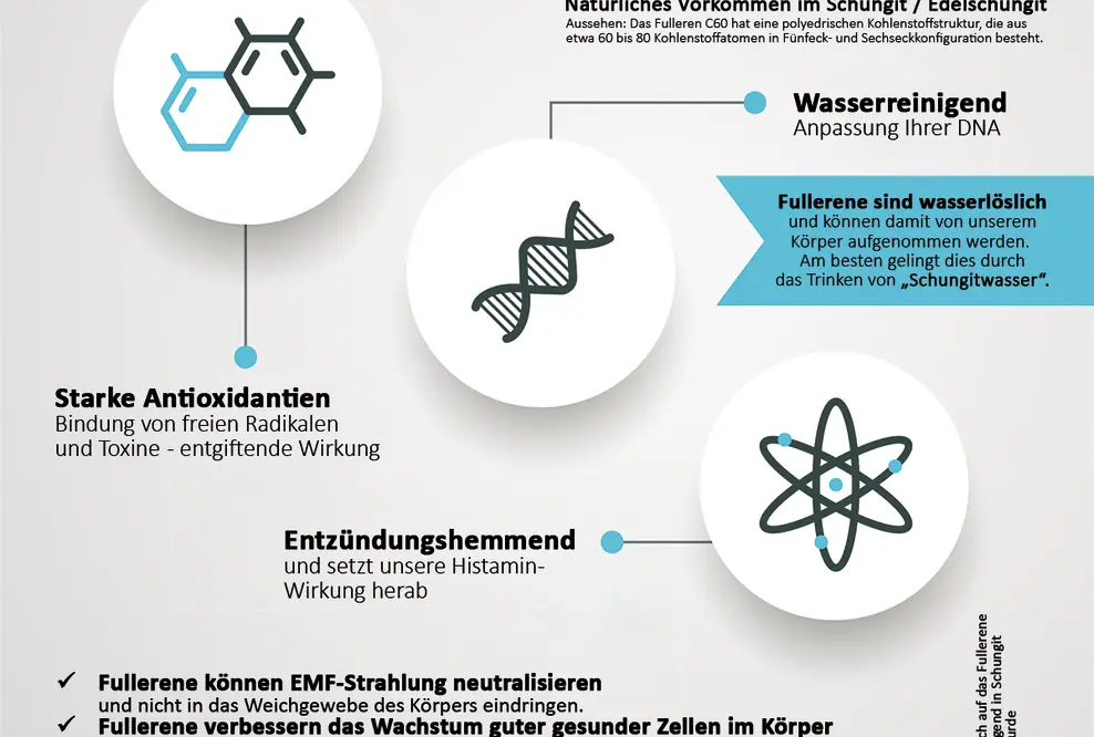 Wirkung Schungit mit Fullerene