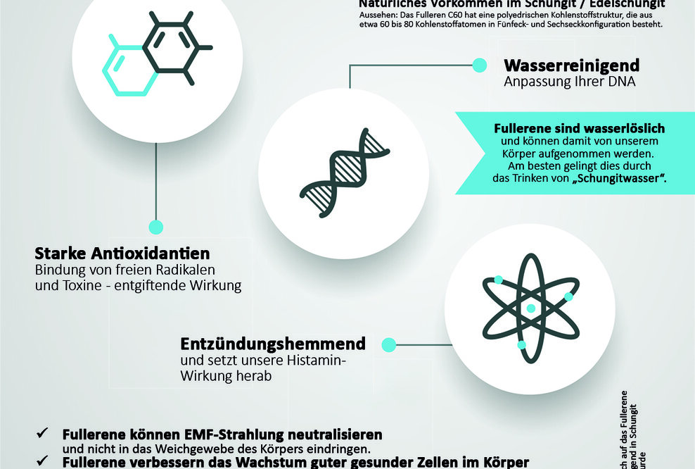 Wirkung Schungit mit Fullerene