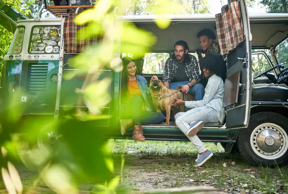 Freunde mit Hund in einem Van