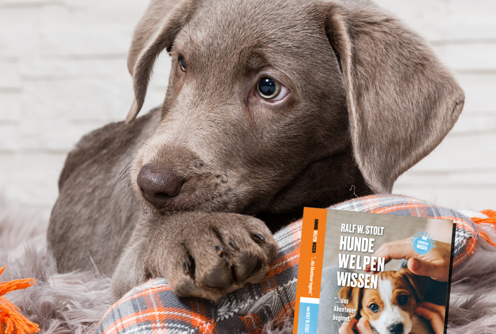 Welpen Checkliste aus dem SalzHund Medienverlag