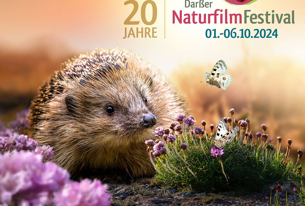 Start des Ticketverkaufs für das 20. Darßer NaturfilmFestival 2024