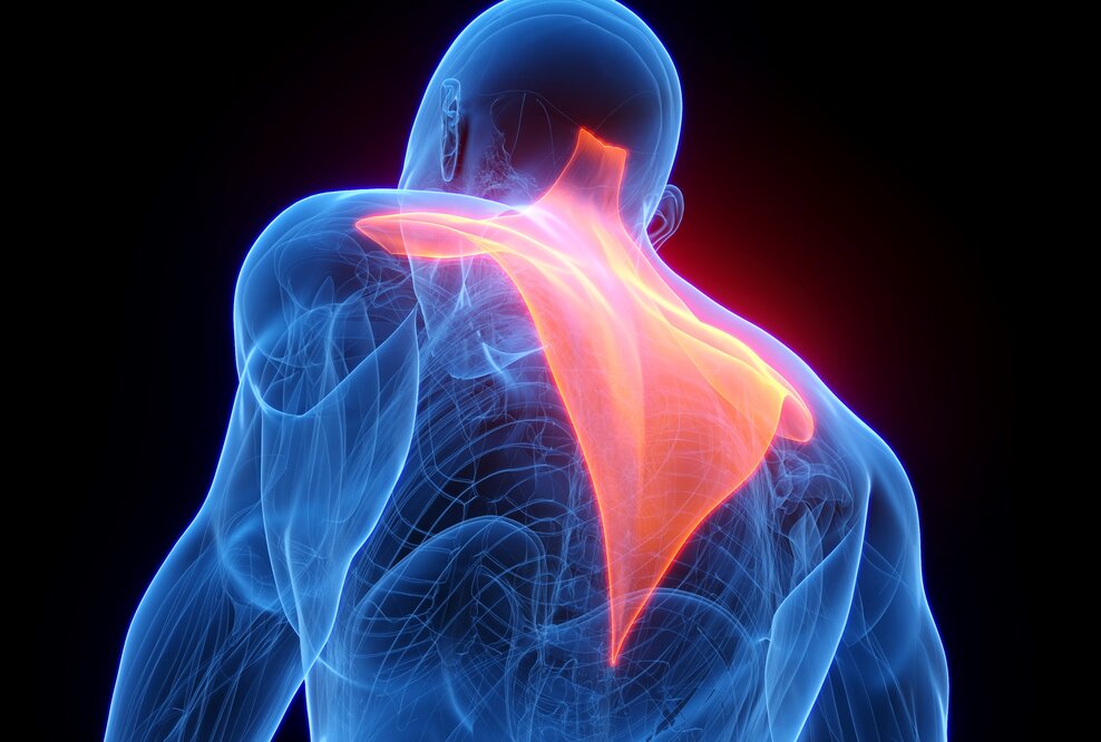 SciRhom startet erste klinische Studie