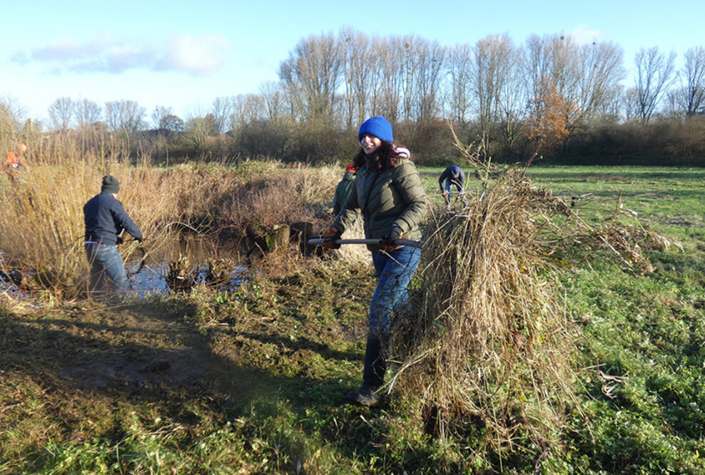 Pflegearbeiten rund um den Teich