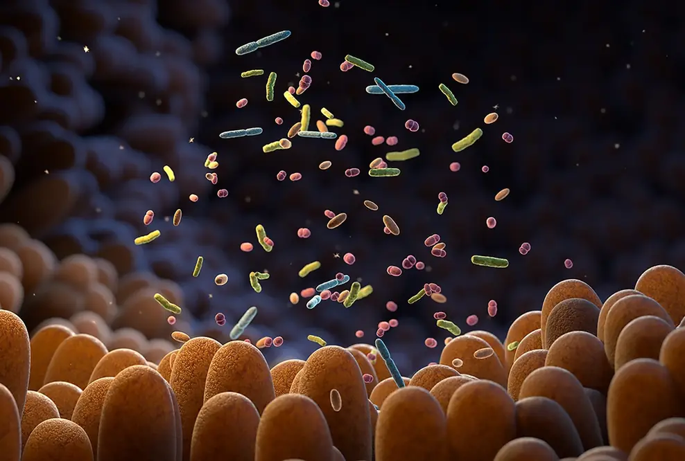 mbiomics: Wie das Verstehen des Mikrobioms des Darms künftig in zielgenaue Therapien umgesetzt werden kann