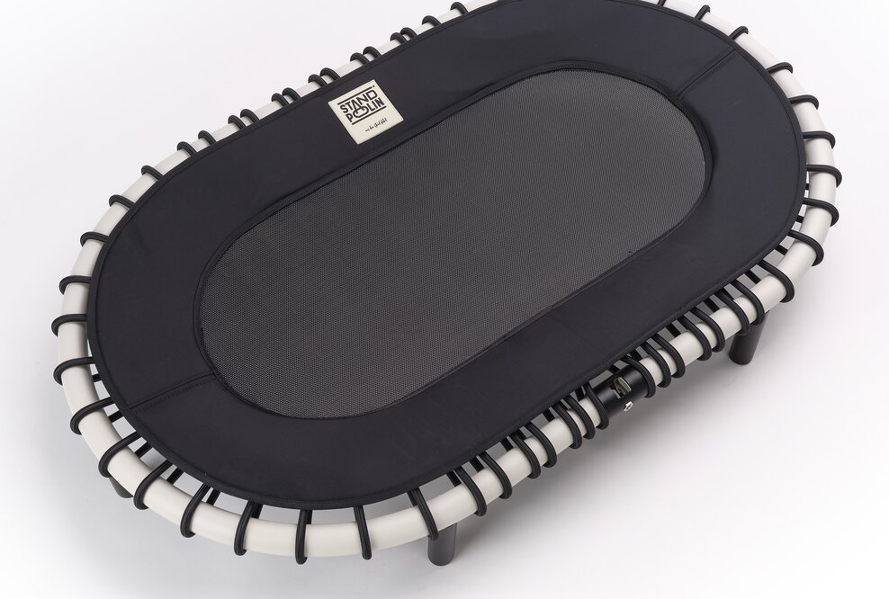 Das Standpolin gibt es aktuell in 4 Farben