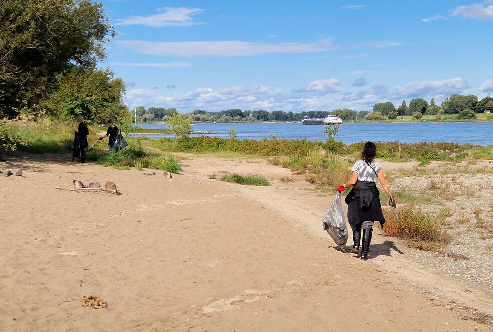 Eine Frau reinigt am Rhein den Müll