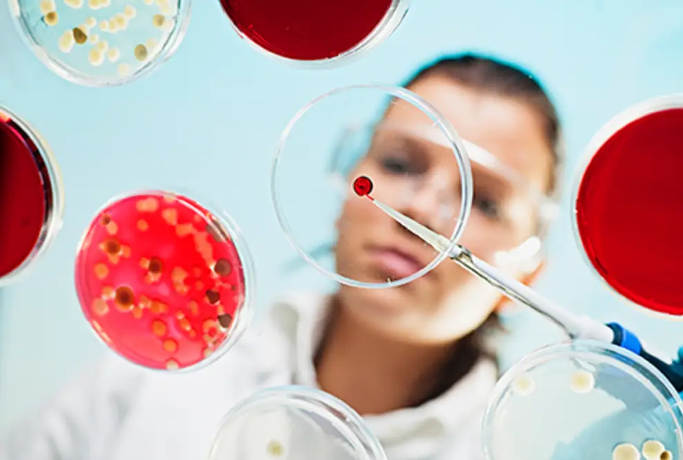 Mikroben, Pilze und Enzyme machen vor, wie biologische Systeme Plastik nicht nur abbauen – sondern in Rohstoffe, Habitate und sogar Medikamente verwandeln.