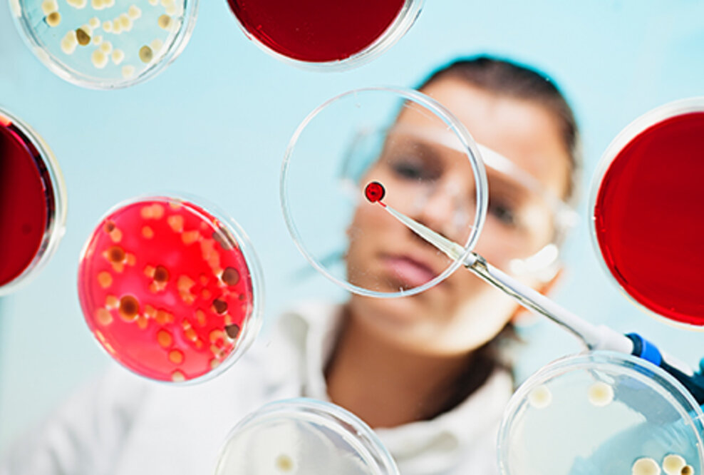 Mikroben, Pilze und Enzyme machen vor, wie biologische Systeme Plastik nicht nur abbauen – sondern in Rohstoffe, Habitate und sogar Medikamente verwandeln.