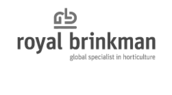 Royal Brinkman