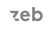 zeb consulting