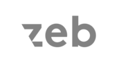 zeb consulting