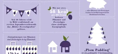 Infografik – Pflaumen und Zwetschgen: Jetzt wird es fruchtig