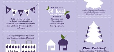 Infografik – Pflaumen und Zwetschgen: Jetzt wird es fruchtig