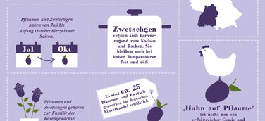 Infografik – Die Pflaumen- und Zwetschgensaison ist im vollen Gange