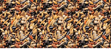 Vögel füttern: Mit hochwertigem Vogelfutter & Liebe zum Detail