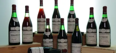 2013 bringt Umsatz von 2,45 Millionen Euro für die Munich Wine Company