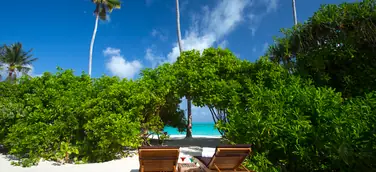 Flitterwochen auf Kanifushi Island – Privat, Luxuriös, All-Inclusive