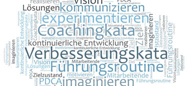 Dücker Group GmbH sorgt mit der KATA für nachhaltige Verbesserung