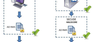Halocore for SAP NetWeaver integriert Datenschutz in SAP Anwendungen