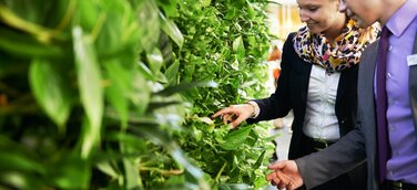 Lifestyle 2014, aber nachhaltig: hydroflora entwickelt vertikale Fensterbänke mit Wohlfühlfaktor