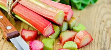 Saisontipp: Rhabarber kochen
