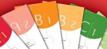 Spanischsprachschueler aus aller Welt bereiten sich auf das DELE (Zertifikat Spansich als Fremdsprache) vor