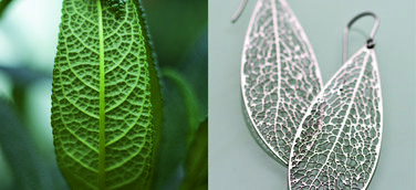 "Eine echte Neuheit"