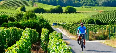 Mit dem Fahrrad auf den Spuren der Bio-Weine der Champagne