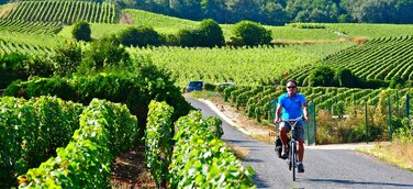Mit dem Fahrrad auf den Spuren der Bio-Weine der Champagne