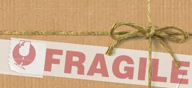 Generation Amazon - Wie der Onlinehandel den Verkehr vor allem in Städten verändert