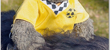 Moritz Sinasson: Teddybär schreibt zweites Kinderbuch