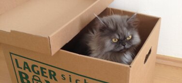 Einen Lagerraum mieten in Berlin mit LAGERBOX wird zur Expansionsangelegenheit