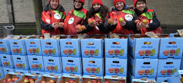 Zugreifen und zubeißen: Erzeuger verschenken Äpfel vor der St. Aposteln Kirche am Neumarkt