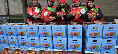 Zugreifen und zubeißen: Erzeuger verschenken Äpfel vor der St. Aposteln Kirche am Neumarkt