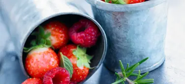 Bildagenturen-Markt: Foodbild-Agenturen StockFood und PhotoCuisine vereinbaren Zusammenarbeit