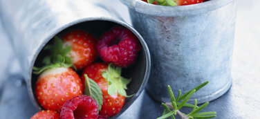 Bildagenturen-Markt: Foodbild-Agenturen StockFood und PhotoCuisine vereinbaren Zusammenarbeit