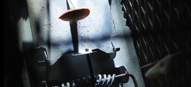 Buchveröffentlichung: Ardavan Rezai "Wir sind alle Mäuse"