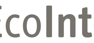 EcoIntense als einer der besten Arbeitgeber ausgezeichnet