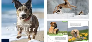 Franzis Tierfotobuch - Mein Hund - So fotografieren Sie Ihren Liebling mal ganz anders