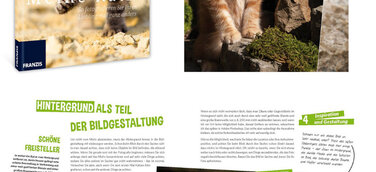 Franzis Tierfotobuch - Meine Katze - So fotografieren Sie Ihren Liebling mal ganz anders
