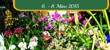 35. Orchideenmarkt in München mit Orchideentaufe und Orchideen-Symposium