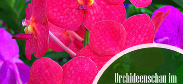 Die Kinder der grünen Hölle auf der Insel Mainau