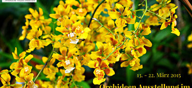 Eine Kaskade von lebenden Kofetti auf der Orchideen Ausstellung im Palmengarten Frankfurt