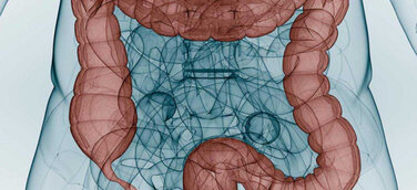 Gesunder Darm, gesundes Leben - Am 21.03. ist Darmkrebs-Präventionstag in den Düsseldorfer Schadow Arkaden