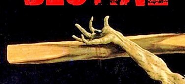 Lene Levi: Nordwest Bestial / Kriminalroman