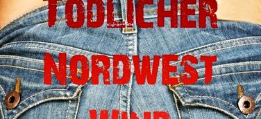 Lene Levi: Tödlicher Norwestwind / Kriminalroman