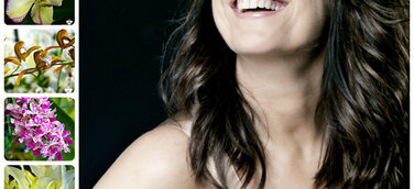 Orchideen im März mit Unterstützung durch Musical Star