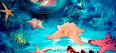 Typisch zum Ferienstart: Lange Schlangen auf der Autobahn