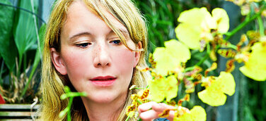 Orchideen auf der BuGa 2015 - rätselhaft, verzaubernd, ein Wunder der Natur - zusammengestellt vom Gewinner der