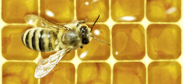 Die Form rettet die Welt - Intelligentes Design statt sinnloser Müllproduktion